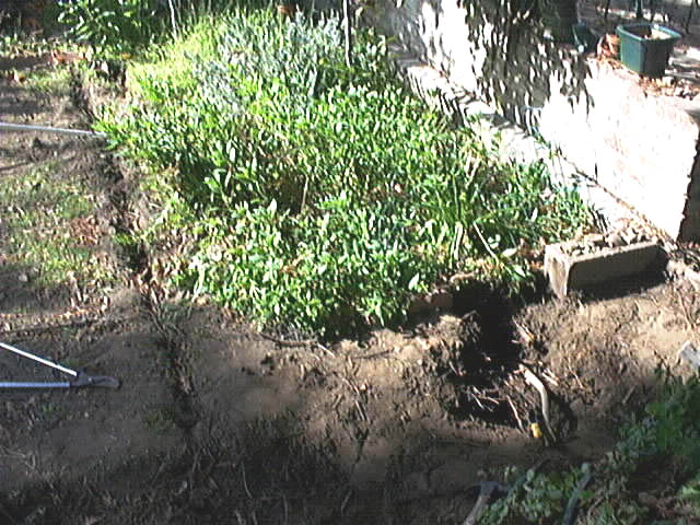 old west line entrance and exit into flower bed